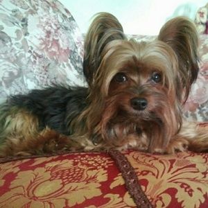 Meet your Posher, Katherine